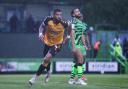 CELEBRATION: Joss Labadie wheels away after firing County in front against Forest Green in the play-off semi-finals