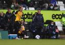 Newport County manager Michael Flynn and the backroom staff look on at Forest Green