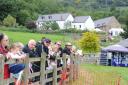 POPULAR: Visitors enjoy a horticultural show held at Cwmbran's Greenmeadow Community Farm