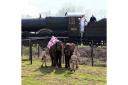 Torchbearer Christopher Stokes is greeted by elephants as he carries the Olympic flame by train between Cleobury Mortimer and Bewdley (Locog/PA)