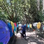 Children have been painting umbrellas on the theme 'the joy of nature'