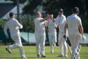 REASON TO CELEBRATE: Cricketers in Gwent could be back in action in August