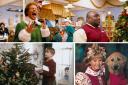 Vue Cwmbran will be showing some festive favourites this Christmas
