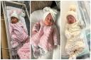 Five new babies to welcome to the world