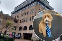 Emotional support dogs, such as Australian labradoodle Indie who comforts pupils at a school in Scotland, aren't allowed inside Torfaen council buildings including Pontypool's Civic Centre.