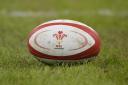 WRU member clubs vote overwhelmingly in favour of governance reforms