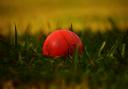 Major shake-up in cricket leagues mean changes for the summer season