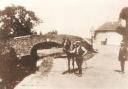 A horse being led over the bridge at Pontymoile junction on the Monmouthshire and Brecon Canal. Picture: Torfaen Museum.