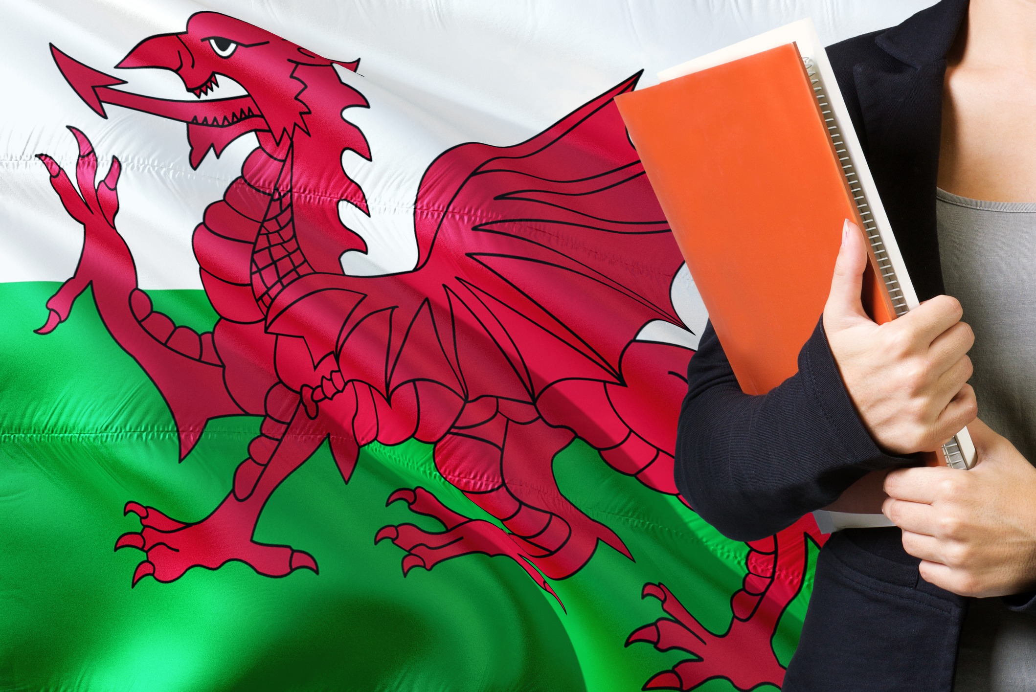 Concern over Welsh language teaching in Monmouthshire - Vimarsana News