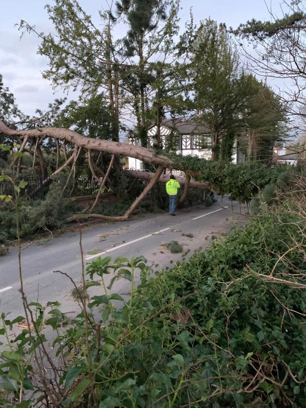 Free Press Series: Aftermath of Storm Arwen in Cheshire (PA)