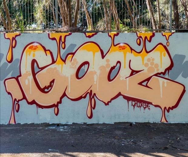 Free Press Series: Frankie said legal graffiti areas helped him develop his craft. (Picture: Frankie Winters)