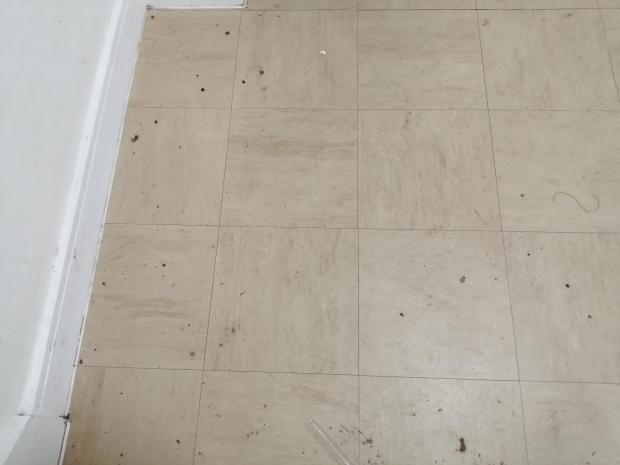 Free Press Series: What appear to be rabbit droppings on the floor of the communal stairway in the flat block. (Picture: Patricia Mountjoy)