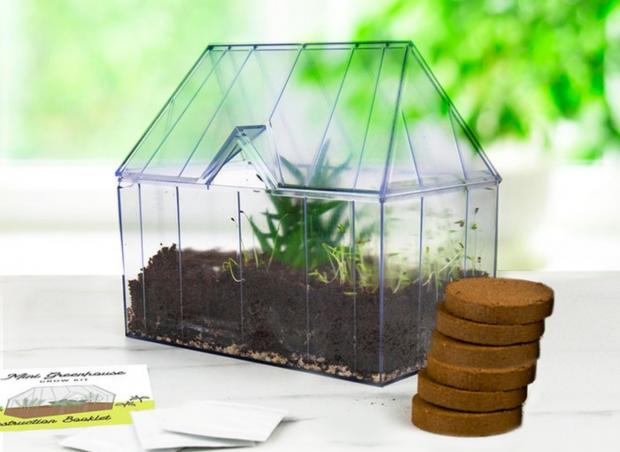Free Press Series: Mini Greenhouse Kit (Moonpig)