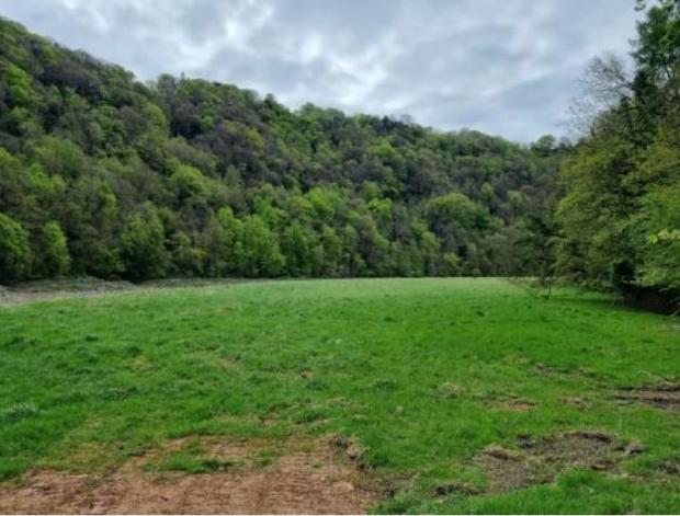 Free Press Series: The site of the proposed film set. Picture: CSJ Planning/ Monmouthshire council 