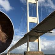 A Lydney woman named Jayne has been reported missing after her car was found near the Severn Bridge