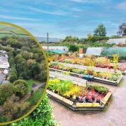 Popular garden centre near Monmouth for sale for the first time in 50 years