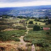 STUNNING: Danny Moreton enjoyed the view from Cwmbran mountain